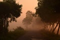 Sunrise in the fog,  winter morning nature in south asia Royalty Free Stock Photo